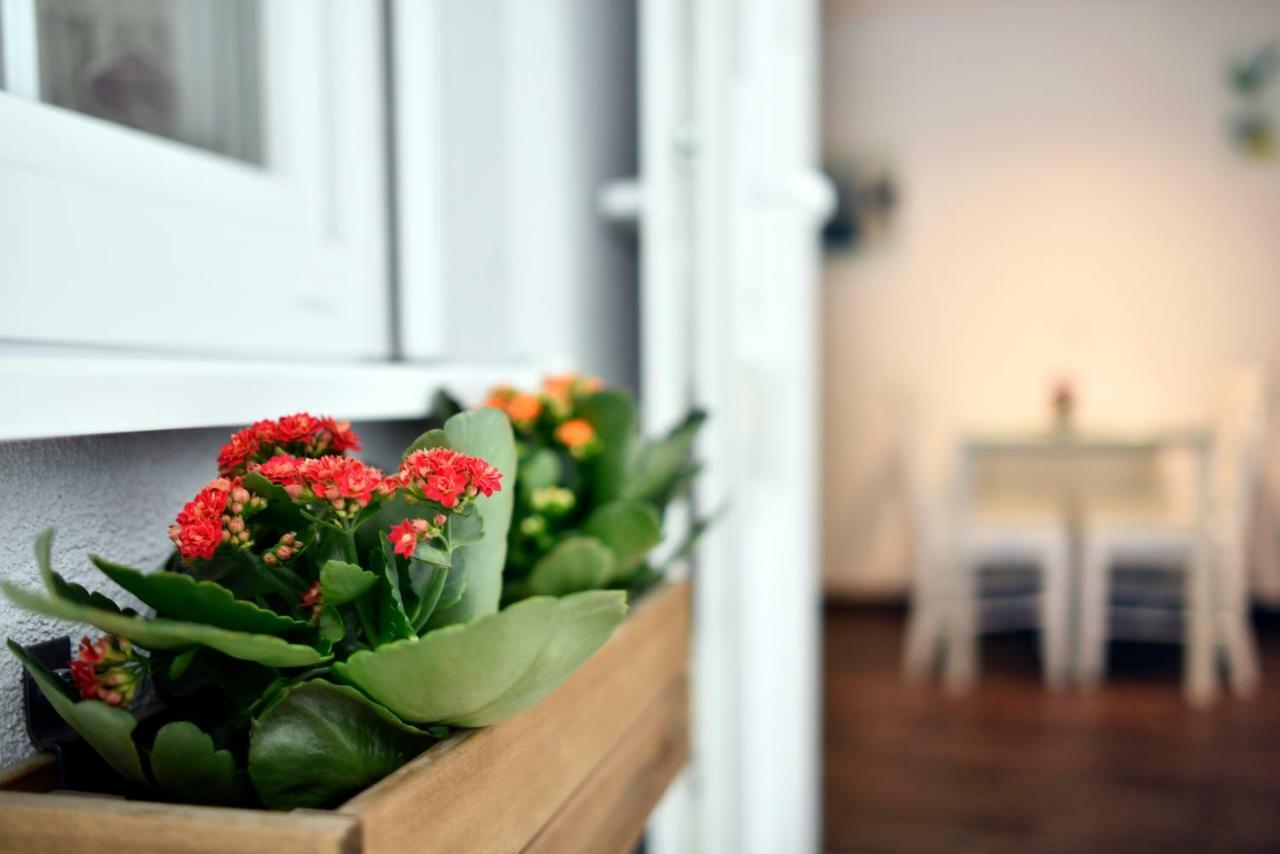 Hostel Temza Zagreb Dış mekan fotoğraf